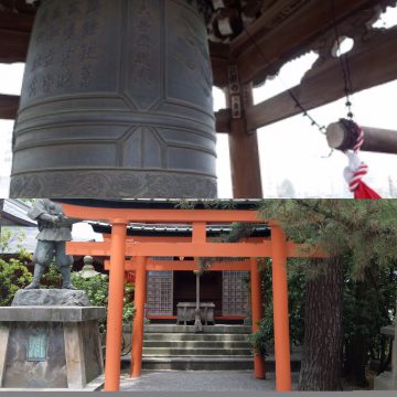 What is the Difference between Shrines and Temples?