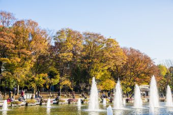 The History of Ueno Park