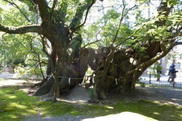 Exploring the Hamamatsu Hachimangu Shrine