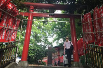 What are Torii Gates?