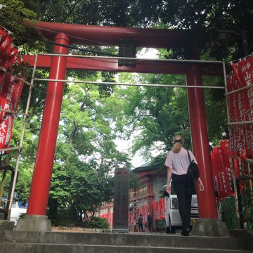 What are Torii Gates?