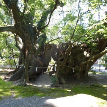 Exploring the Hamamatsu Hachimangu Shrine